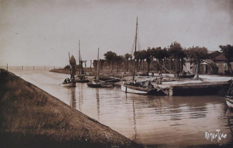 La partie avale du port, rive droite, vers 1930.