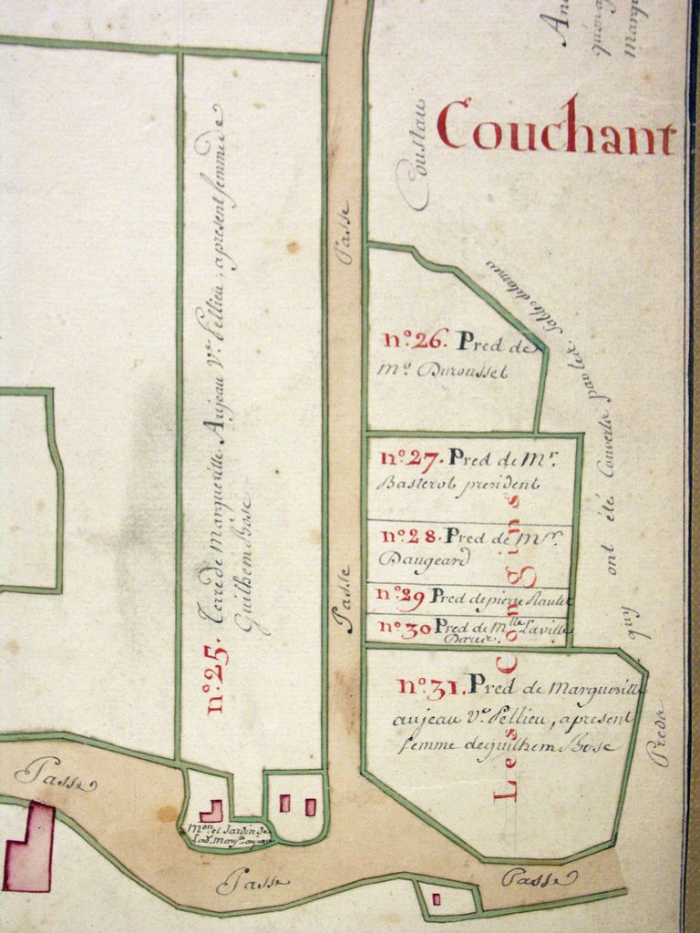 Plan parcellaire des terres et domaines dépendants de la seigneurie de Lesparre, paroisse de Soulac, 18e siècle : Coustau.