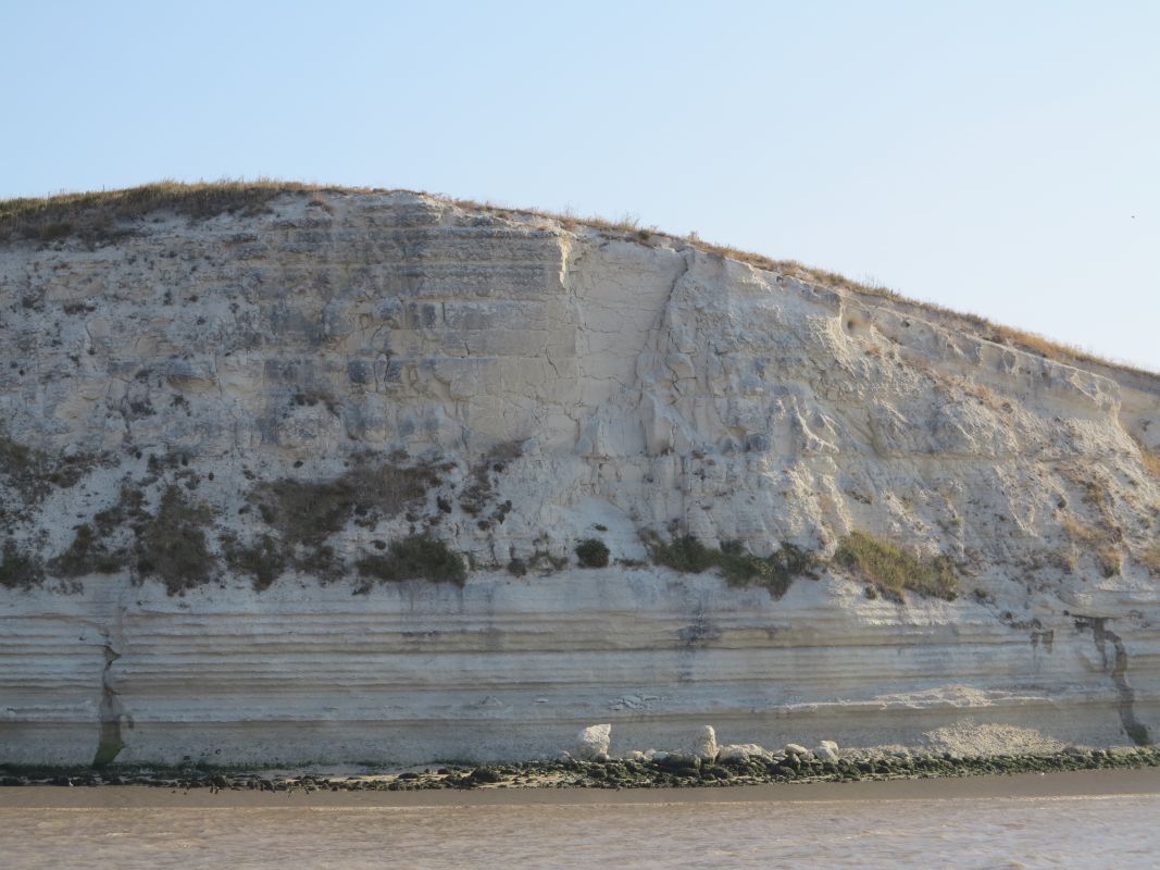 Détail des falaises du Pilou, millefeuille de calcaire, vues depuis l'estuaire.