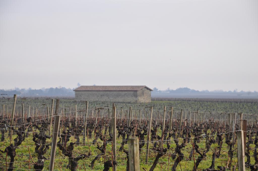 Bâtiment de dépendance dans les vignes, vu depuis le château Doyac.