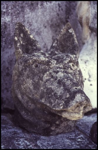 Tête de chien photographiée en 1999, aujourd'hui disparue.