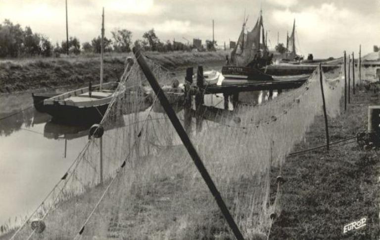 Filets de pêche mis à sécher sur la rive droite du port, vers 1950-1960.