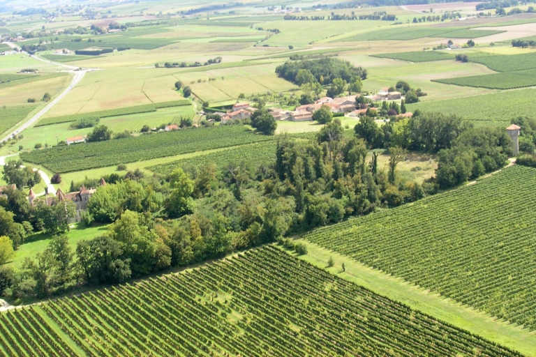 Vue aérienne du plateau agricole et viticole autour des Loges.