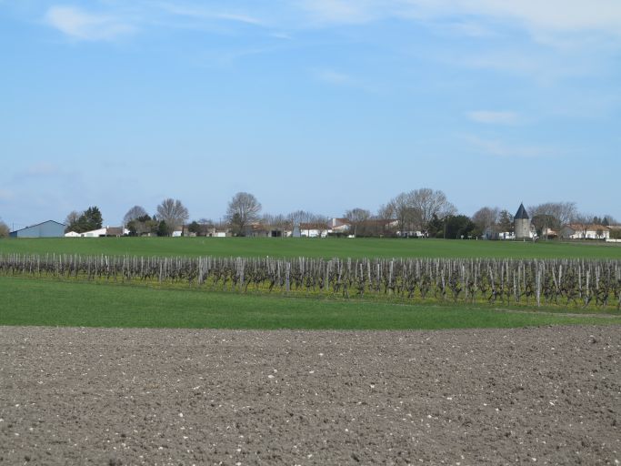 Champs, vigne et hameau de Liboulas sur la hauteur.