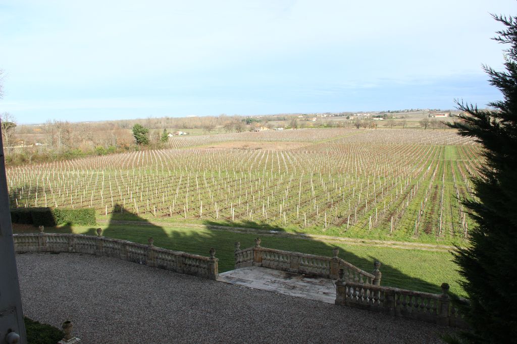 Vue depuis le château de Pérenne vers les coteaux viticoles du nord-est de la commune.