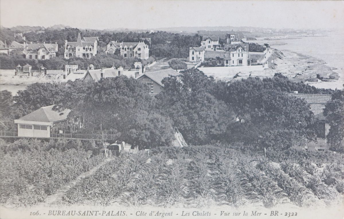 Les villas de Trez-la-Chasse, à l'est du Bureau, vues depuis le haut de la rue de l'Océan, couvert de vignes, à l'ouest, vers 1920.
