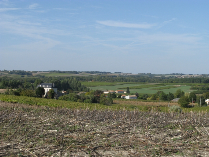 Le plateau viticole autour du Pinier, vu depuis le promontoire de Chez-Douteau.