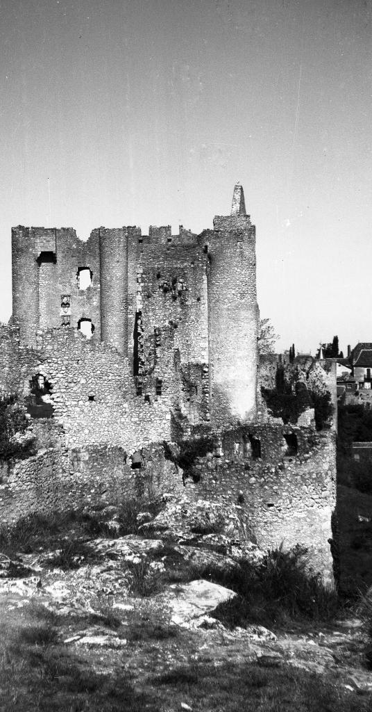 Enceinte et logis, vue prise en 1973.