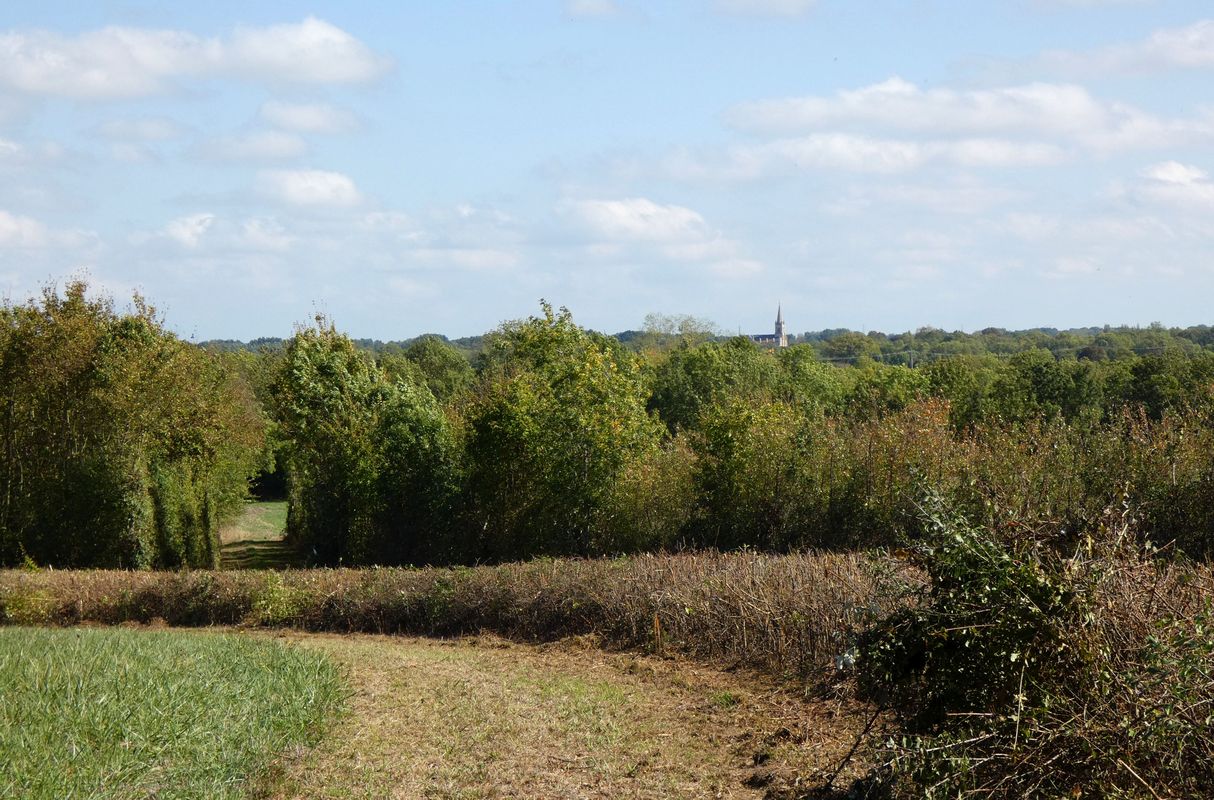 Paysage bocager de terres hautes entre Sainte-Sabine et le Vanneau, en direction de l'est.