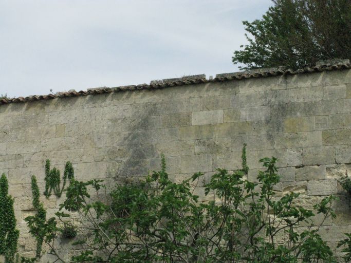 Mur d'enceinte du château au niveau du 11 rue du Château.