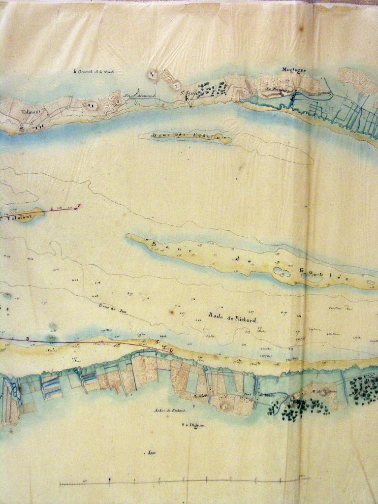 Plan de l'embouchure de la Gironde (...), 1837 : détail du secteur de Richard avec indication de l'arbre de Richard.