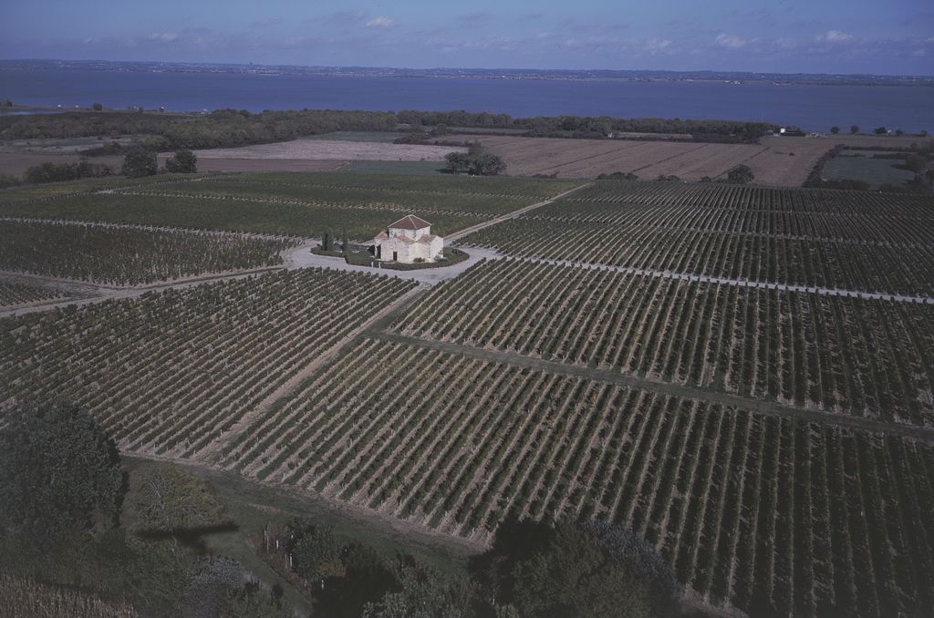 Vue aérienne (2002)  : chapelle dans les vignes de Calon-Ségur.