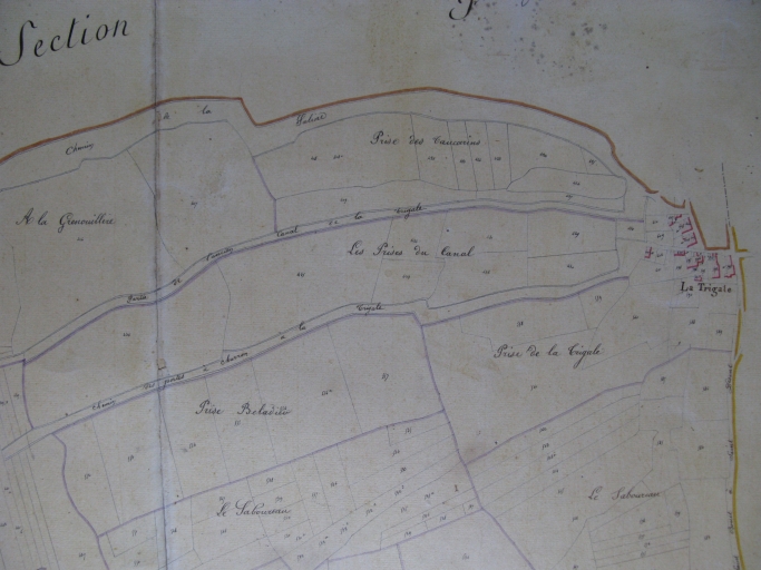 Le chemin de la Saline et l'ancien chenal de la Trigale sur le plan cadastral de 1818.