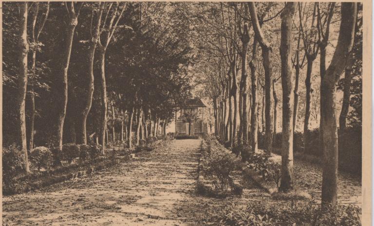 L'allée de platanes et le kiosque sur la colline du Pouy. Carte postale, début du 20e siècle.