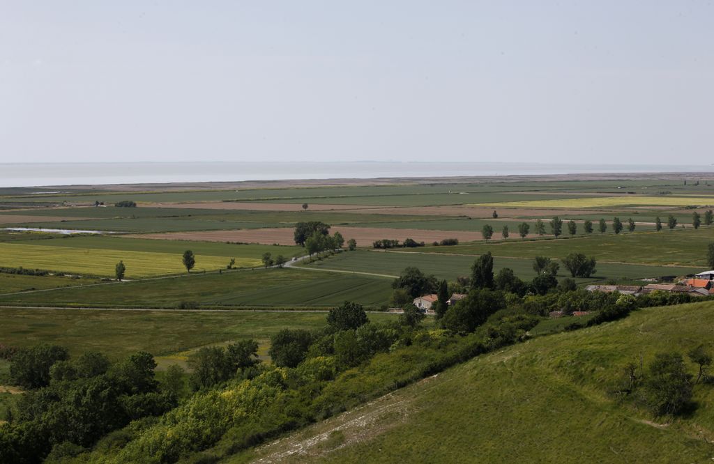 Les marais de Saint-Romain vus depuis le terrier de Beaumont.