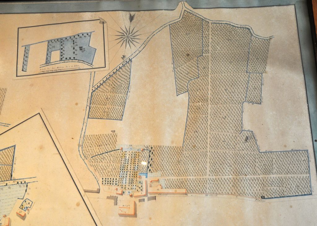Détail du plan topographique du domaine de M. de Lagaucherie : ancien couvent de Montuzet, 1825.