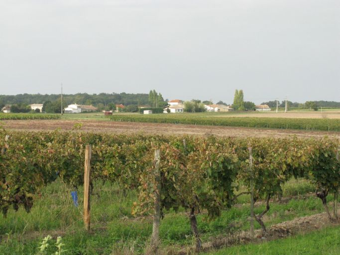 Paysage agricole et viticole autour d'un hameau.
