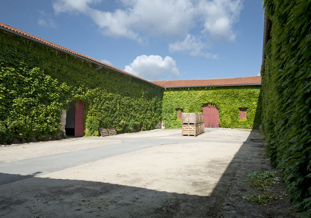 Bâtiments viticoles disposés autour d'une cour.