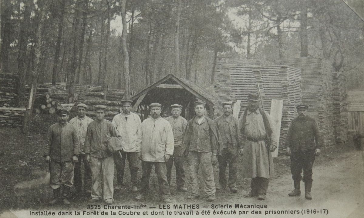 Prisonniers de guerre allemands travaillant dans une scierie dans la forêt de la Coubre en 1916-1917.