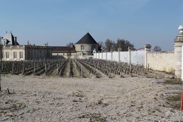 Vue d'ensemble des vignes plantées à l'emplacement de l'ancien parc, dont subsiste une partie des grilles.