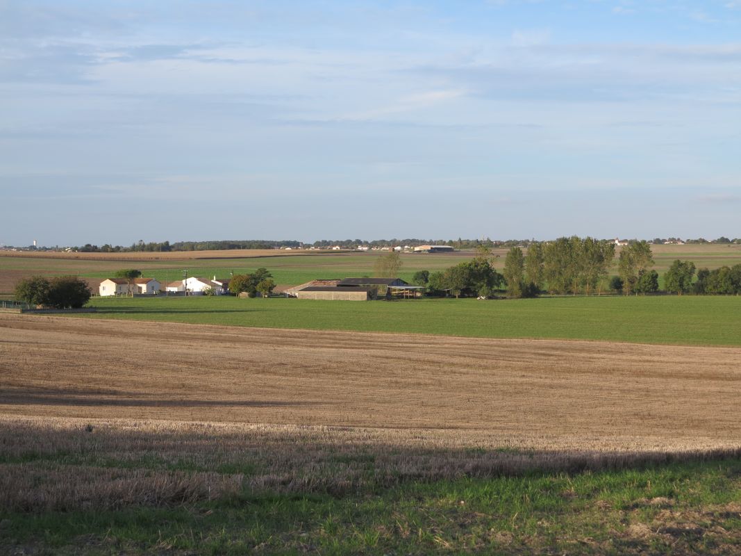 La plaine agricole entre Meschers et Semussac, autour de Cassine.