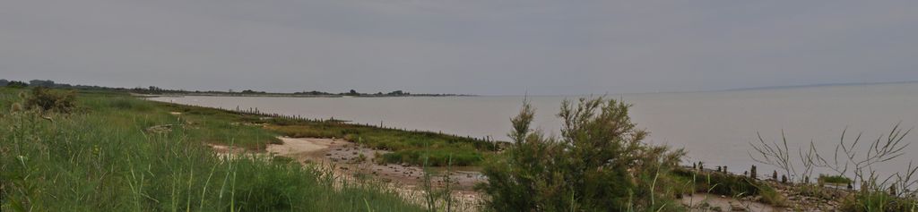 Vue panoramique des bords de l'estuaire.