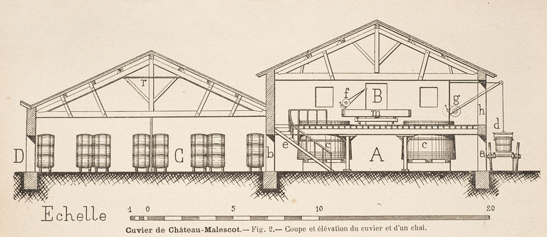 Coupe et élévation du cuvier et d'un chai, château Malescot (1896).