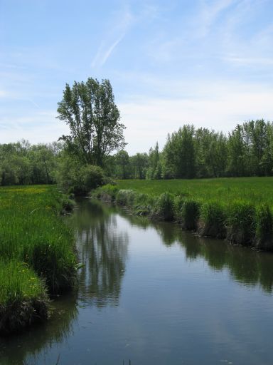 La rivière de Juliat.