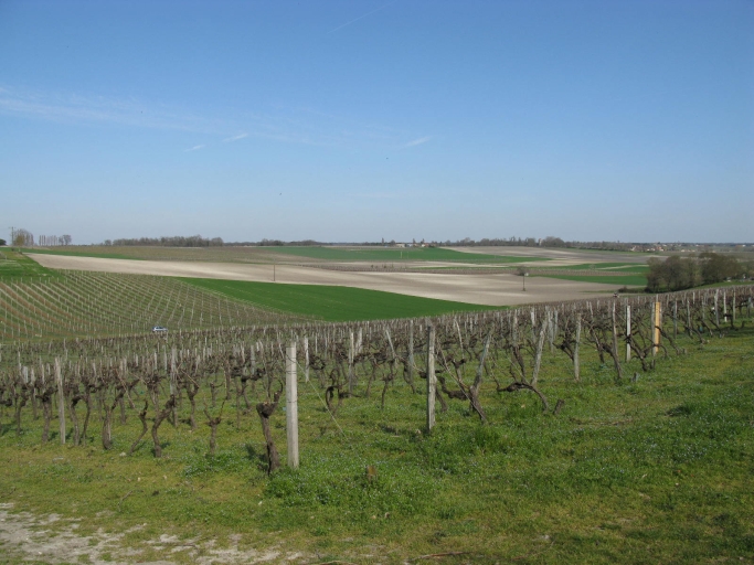 Le plateau agricole et viticole au nord du bourg.