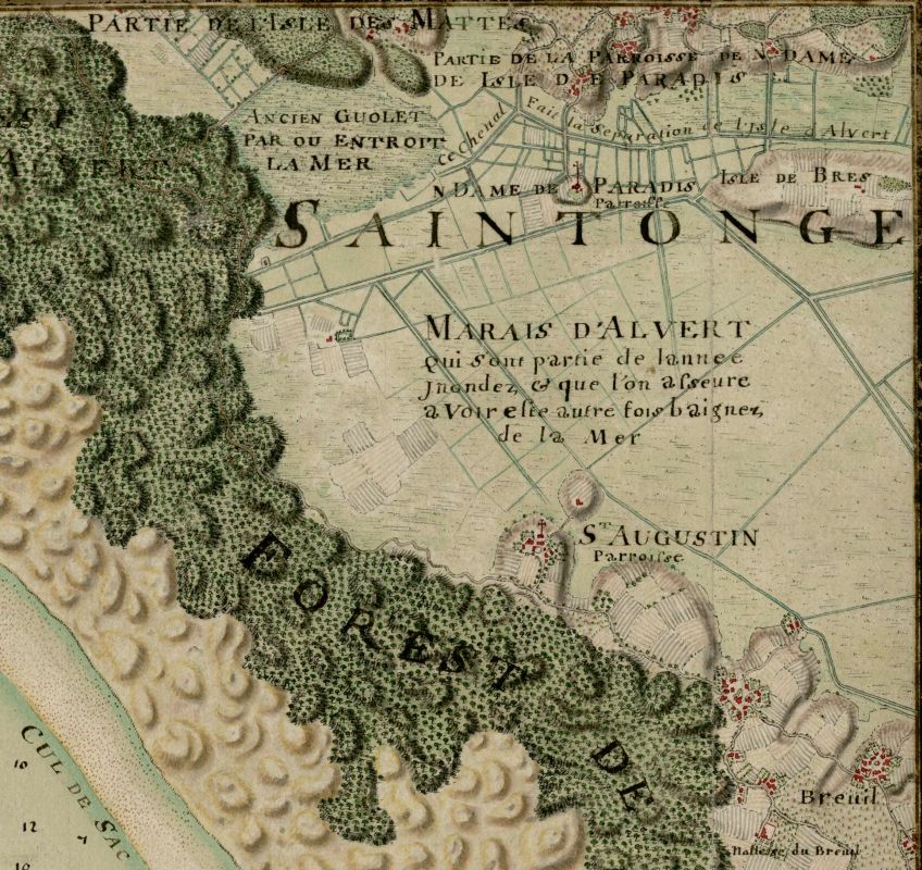 Les marais d'Arvert, entre les Mathes et Saint-Augustin, sur une carte de l'embouchure de la Gironde par Claude Masse, vers 1706.