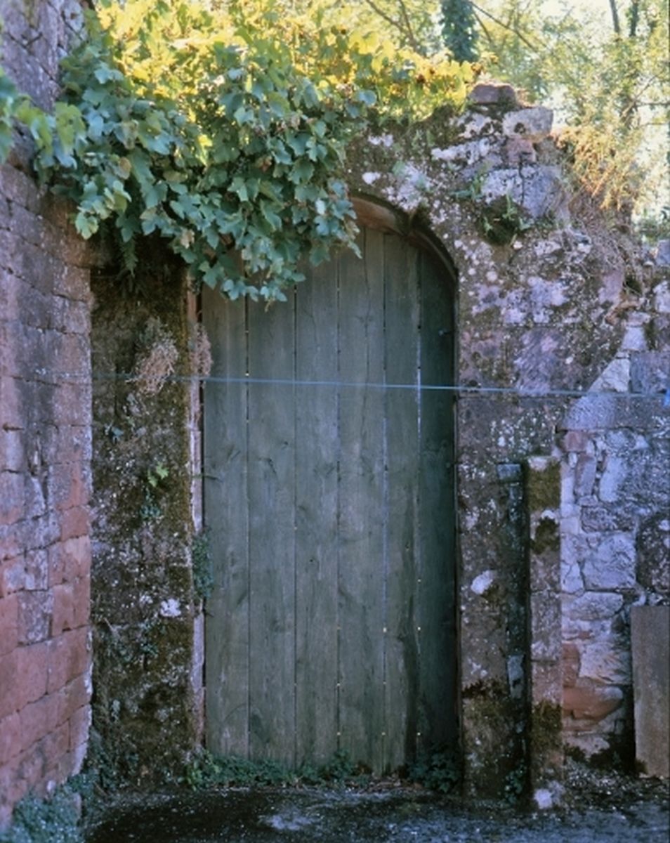 Vue actuelle de la porte en arc brisé, prise depuis le jardin.