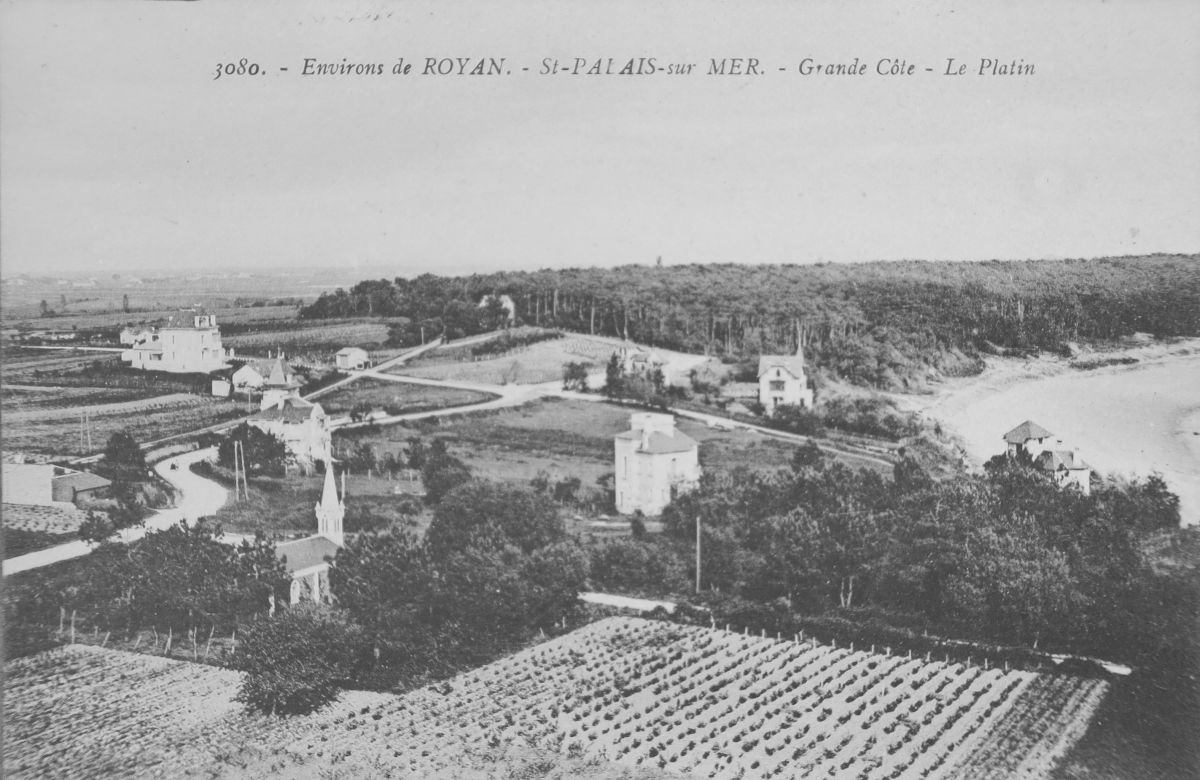 Vignes, bois et premières villas autour de la conche du Platin vers 1910-1920.