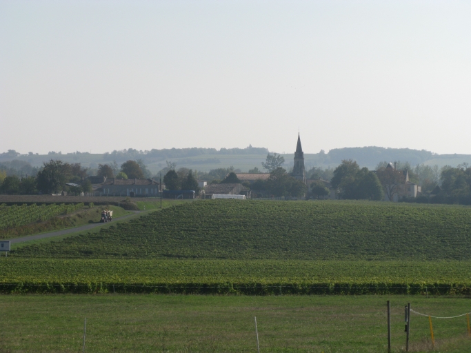 Plateau viticole au nord du bourg.