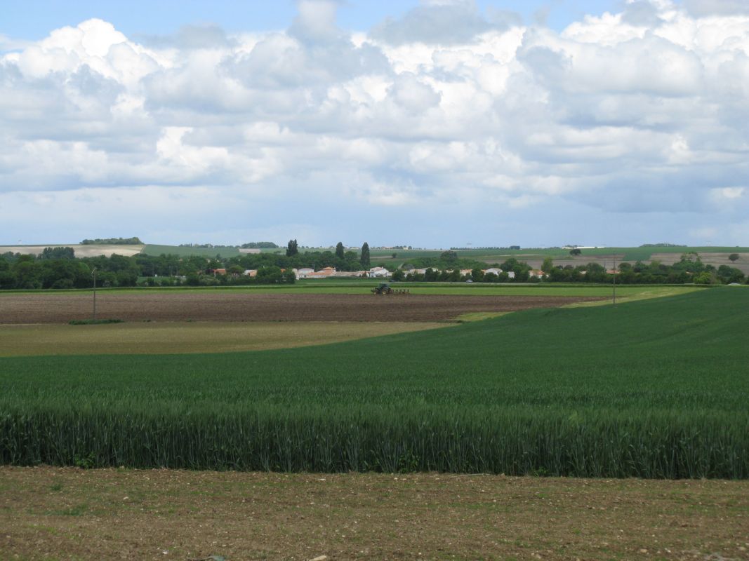 Plaine agricole autour du Berceau.