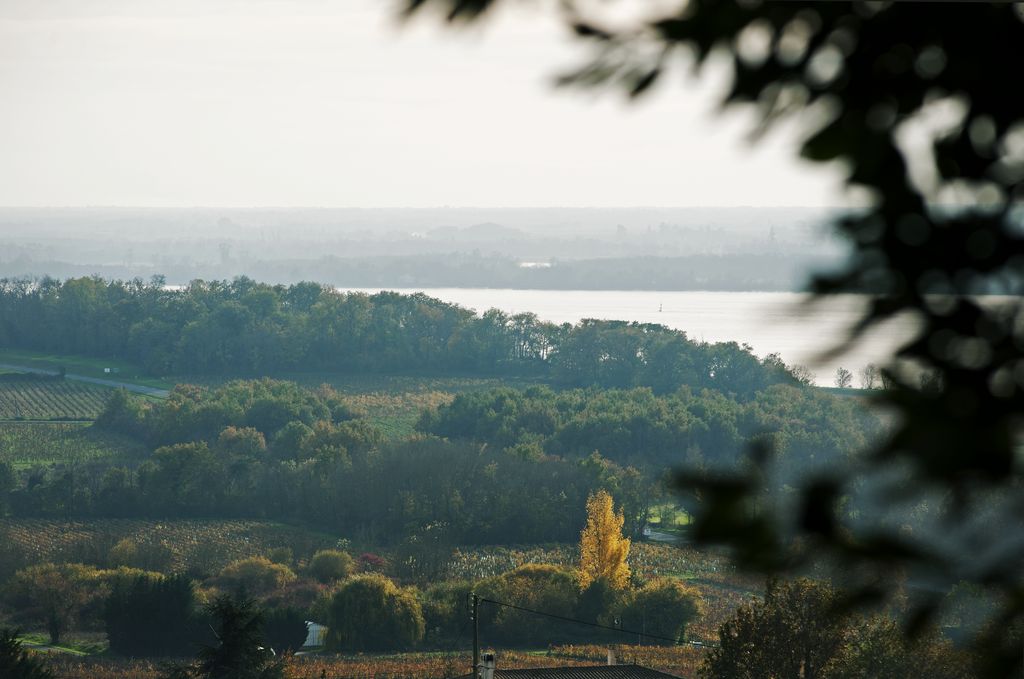 Paysage de Villeneuve et Plassac vu depuis le coteau.