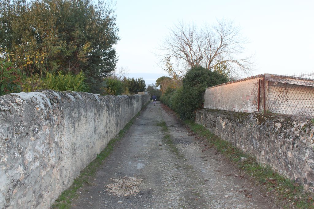 Chemin du Monteil, bordé de murs de clôture.