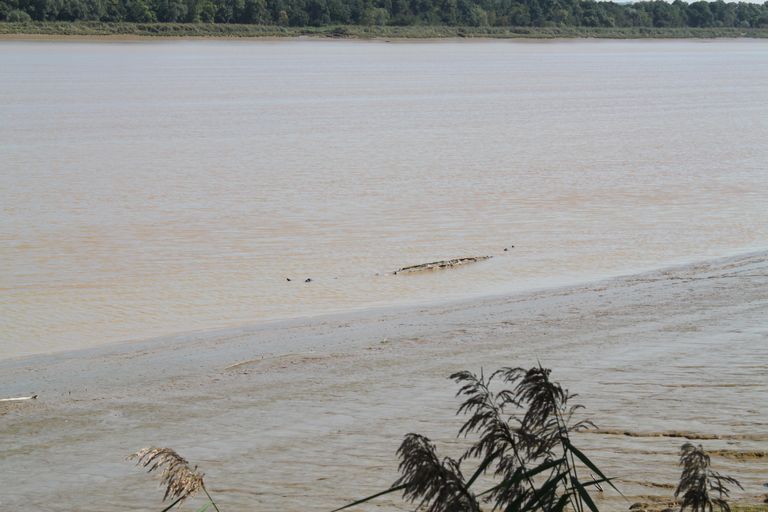 Epave émergeant dans l'estuaire (Fumadelle).