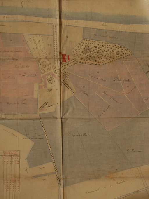 Plan vers 1876 avec emplacement des dépendances viticoles projetées [projet non réalisé].