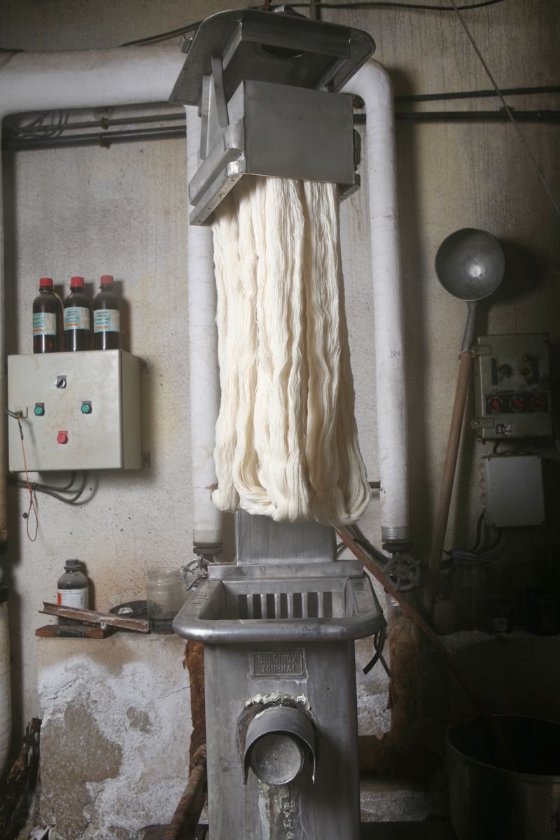 La sortie de l'écheveau de laine du bain de teinture.