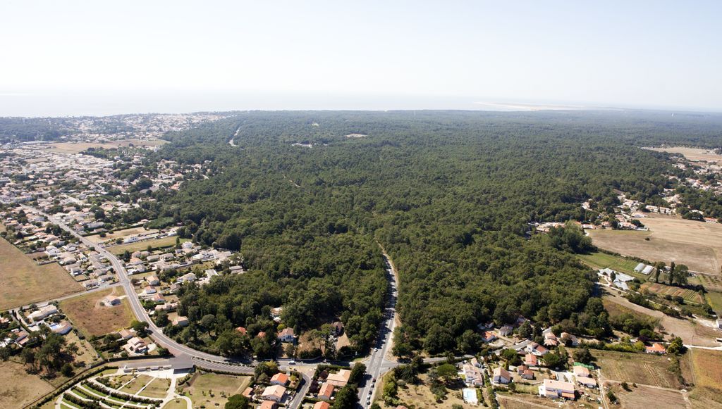 Vue aérienne de la forêt des Combots d'Ansoine depuis l'est.
