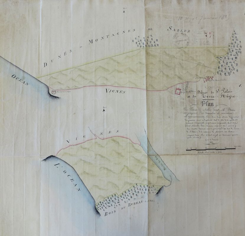 Plan des dunes de Saint-Palais (au Platin et au nord de Maine-Gaudin) en 1825, avant leur boisement.