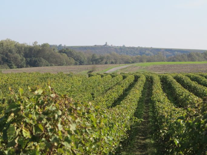 Paysage viticole et agricole près de la Croisée.