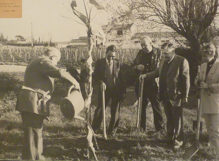 Plantation de l'arbre de la Liberté, 5 mars 1989.