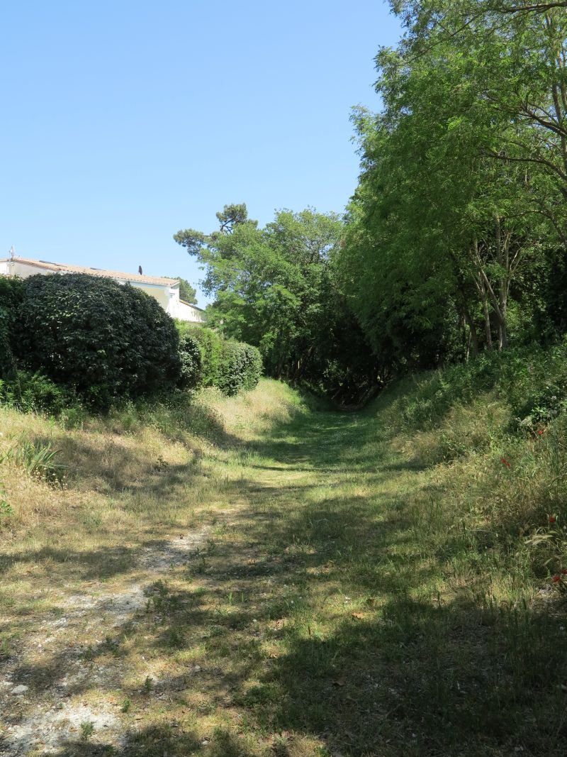 La Promenade forestière, ancien tracé du tramway, dans le quartier de Trez-la-Chasse.