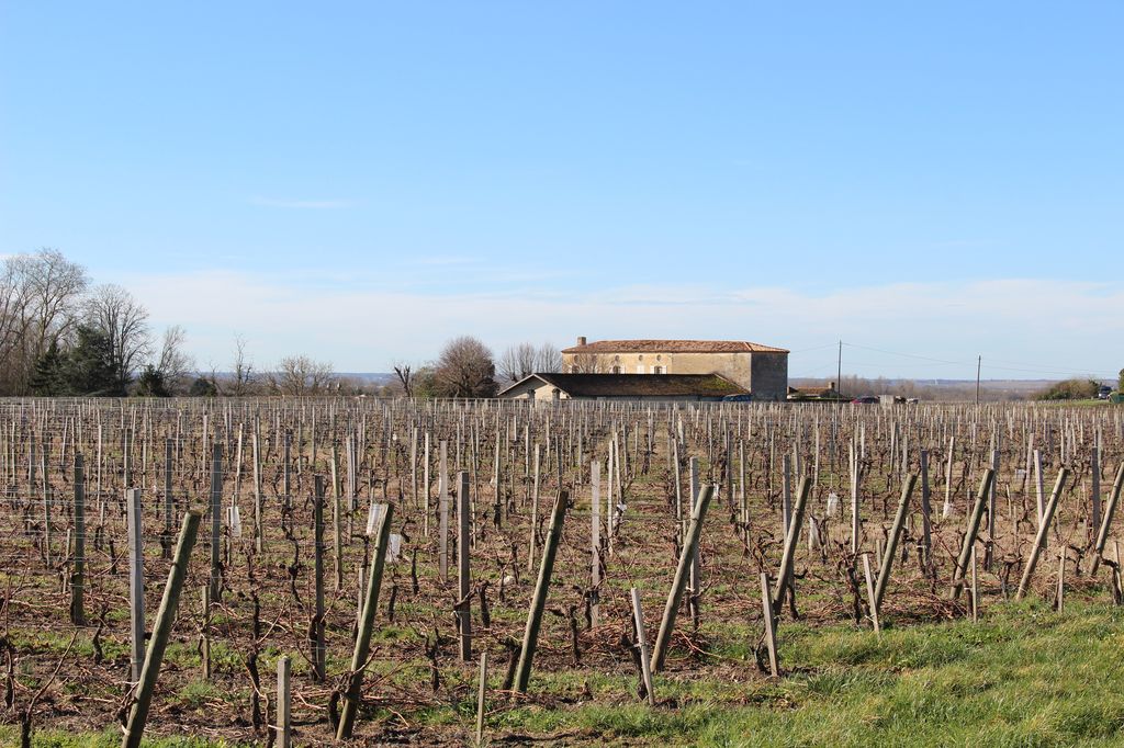Vue depuis les coteaux viticoles à l'est de la commune vers le domaine de Sesque.