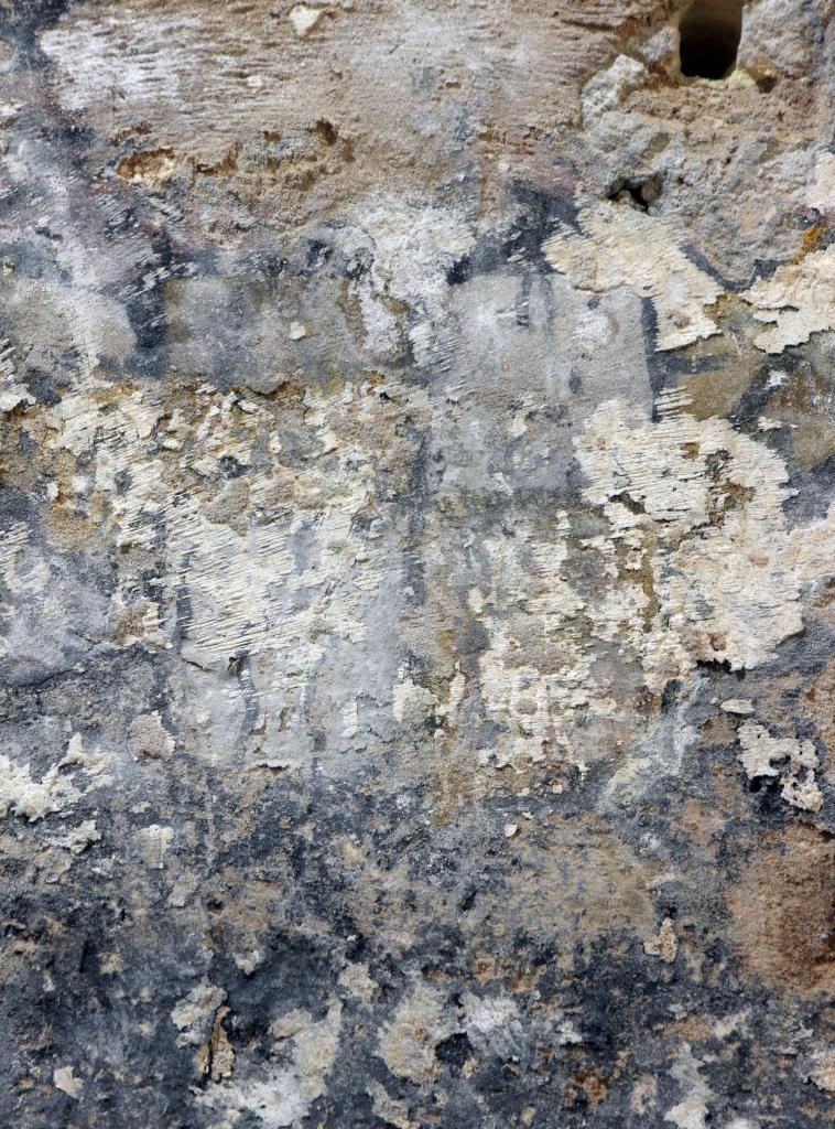 Détail de la litre dans la nef, sur le mur sud, à droite de l'arcade de la chapelle de la Vierge : écu armorié.