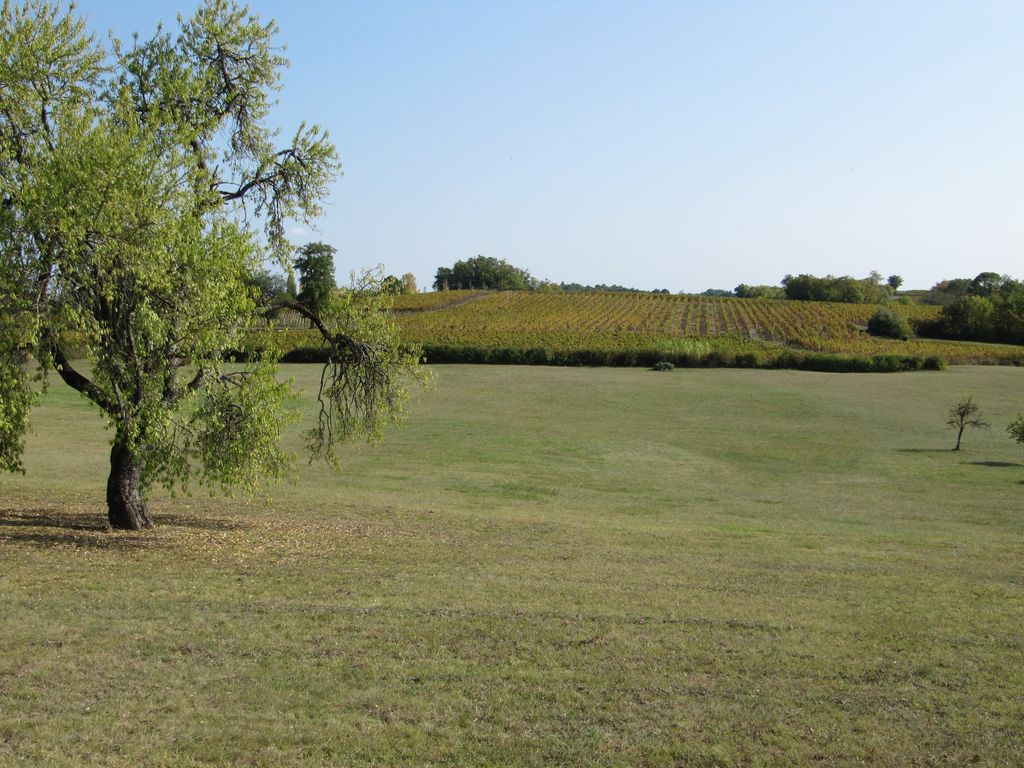 Sainte-Luce : vue depuis la rue Louis-Ellias vers la prairie et les vignes au sud-est.