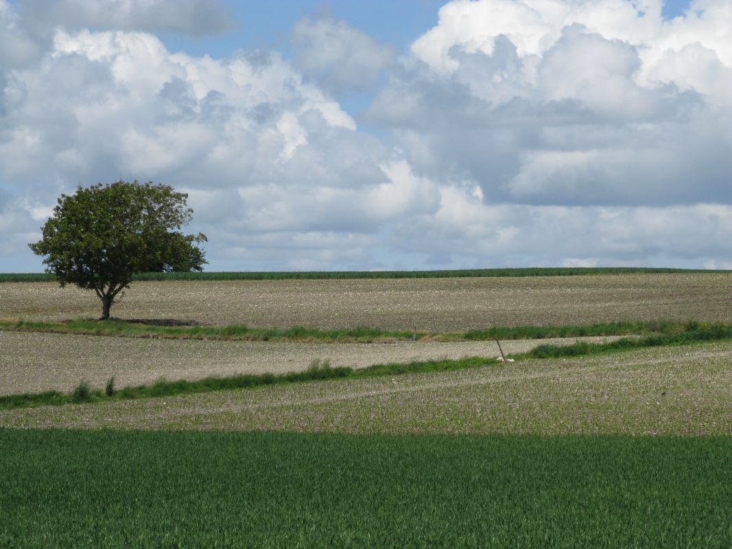 La plaine agricole près du Berceau.