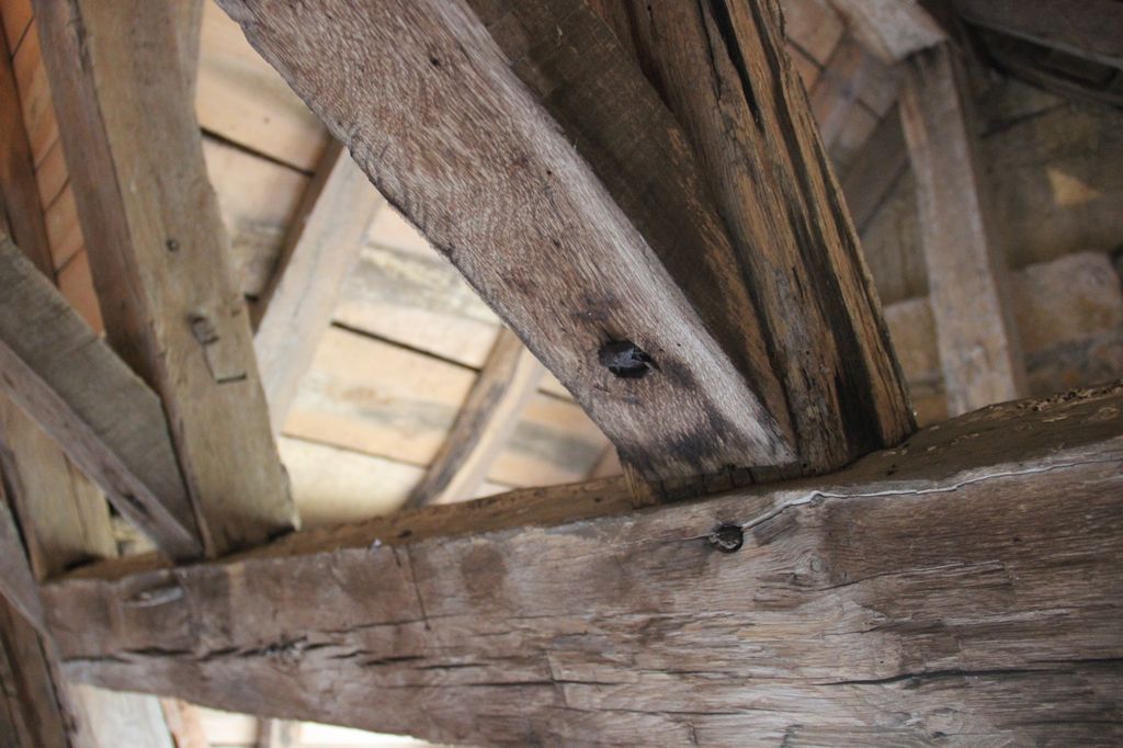 Charpente du pavillon nord-est. Détail de la trémie de la lucarne orientale : clou forgé en remplacement d'une cheville en bois.