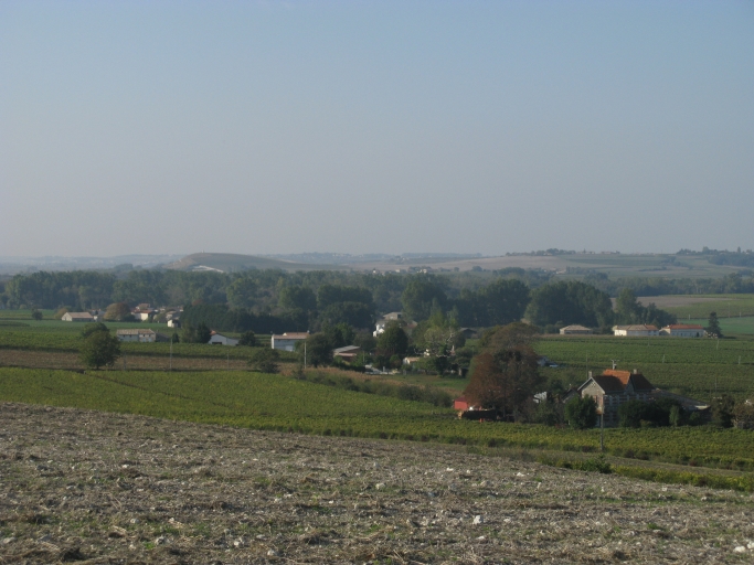 Hameaux et vignes entre Chez-Thibaud et Chez-Motard, avec les marais intérieurs boisés du Sap en arrière-plan.